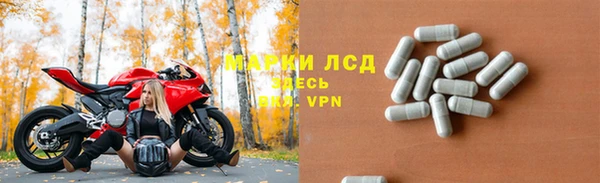 стаф Бородино