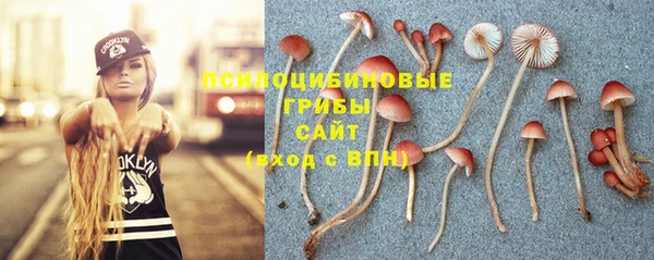 ГАЛЛЮЦИНОГЕННЫЕ ГРИБЫ Майский
