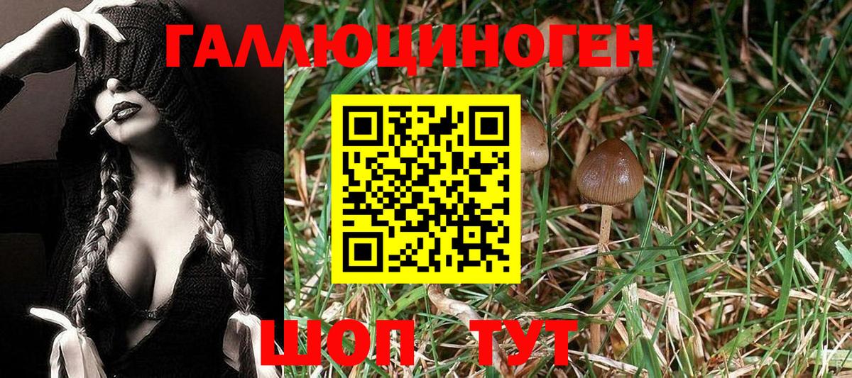 Галлюциногенные грибы мицелий  Псилоцибиновые грибы GOLDEN TEACHER  Энгельс  магазин  наркотиков  Вход с VPN 