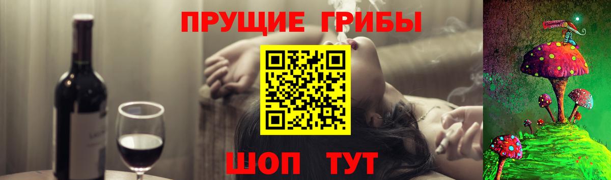 Псилоцибиновые грибы Psilocybine cubensis  Энгельс 